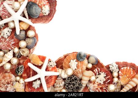 Abstrakter Seashell-Hintergrund mit einer großen Vielfalt an Muscheln und Austernperlen und Kopierräumen. Stockfoto