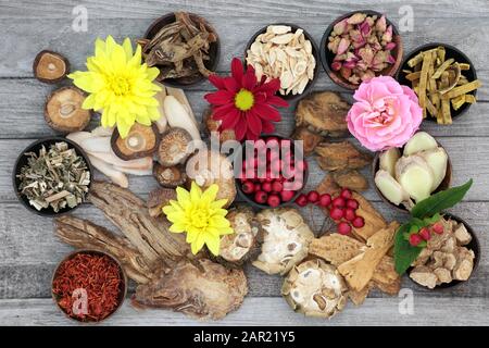 Chinesische Kräuter und Blumen in Schüsseln und Loose, die in der traditionellen Pflanzenheilkunde auf rustikalem Holzhintergrund verwendet werden. Stockfoto