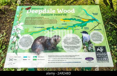 Ein Willkommen im Deepdale Wood Naturreservat, Informationstafel am Eingang des Holzes, in der Nähe von Barnard Castle, Teesdale, County Durham, England, Großbritannien. Stockfoto