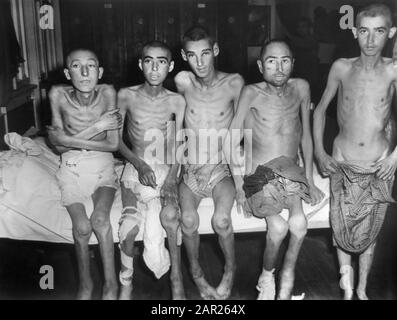 Fünf Hungernde Männer im deutschen Konzentrationslager zur Zeit der Befreiung durch die US-Armee, Foto des US Army Signal Corps, April 1945 Stockfoto