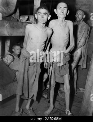Männer, Die Unter Hunger leiden, die von Bunks im NS-Konzentrationslager stehen, das kürzlich Von Truppen der U.S. Third Army, Ampfing, Deutschland, befreit wurde, Foto des US Army Signal Corps, 4. Mai 1945 Stockfoto