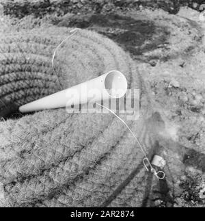 Werk, Maschinen, Land Datum: 14. Juni 1972 Standort: Alkmaar, Noord-Holland Schlüsselwörter: Boden, Maschinen, Name der Arbeitseinrichtung: Willnerploeg Stockfoto