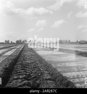 Werk, Maschinen, Land Datum: 14. Juni 1972 Standort: Alkmaar, Noord-Holland Schlüsselwörter: Boden, Maschinen, Name der Arbeitseinrichtung: Willnerploeg Stockfoto