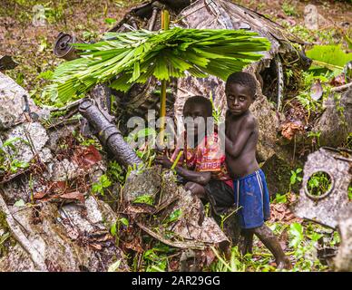 Zwei Jungen mit selbstgemachten Regenschirmen im Dschungel von Bougainville, Papua-Neuguinea Stockfoto