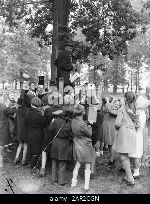 Vögel Nistplatz Datum: 24. Mai 1946 Stichwörter: Orte, VOGELNAST Stockfoto