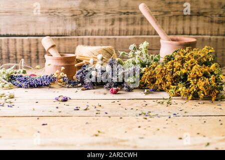 Ernte von Heilkräutern, Alternativmedizin, Ayurveda, getrocknete Blumen Stockfoto