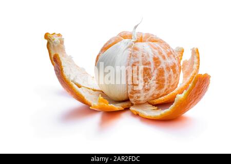 Konzept der künstlichen Frucht. Geschälte Mandarine mit Knoblauchzehe. Stockfoto