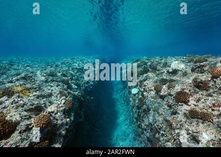 Felsiges Riff, erodiert durch den Schwell, einen Graben auf dem Meeresboden, Unterwasserseescape, Pazifischer Ozean, Französisch-Polynesien Stockfoto