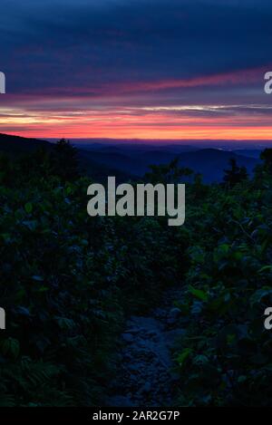 Night Falls Over Overgrown Trail in Blue Ridge Mountains Stockfoto