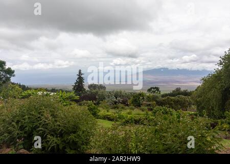 Der Blick von der Ali'i Kula Lavender Farm in Maui, Hawaii Stockfoto