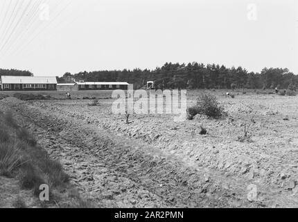 Landgoed Junne. Work-Camp-Anmerkung: Das Hamlet Junne war von 1872 bis 1932 im Besitz der Familie Lüps. Danach kam das gut in die Hände von Baron M. Bentinck zu Buckhorst aus Beerze. Nach dem Tod von Frau Bentinck am 29. Juni 1938 wurde das gut für 400.000 Gulden an die Versicherungsgesellschaft Amstleven, heute Delta Lloyd, verkauft. Anno 2014 ist das Anwesen noch im Besitz von Delta Lloyd. Vor dem Zweiten Weltkrieg gab es in Junne ein Arbeitslager, wo auf dem Anwesen der Versicherungsgesellschaft mit staatlicher Hilfe und unter der Führung der Nederlandse Heidemaatschappi Stockfoto