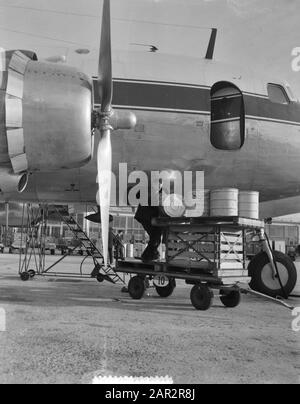 Aufgaben Fassfabrik über Sabena Schiphol Datum: 17. November 1954 Standort: Amsterdam, Noord-Holland Schlüsselwörter: Aufgaben Name Der Einrichtung: Sabena Stockfoto