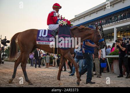 Hallandale Beach, FL, USA. Januar 2020. Hallandale BEACH, FL - 25. JANUAR: Mucho Gusto, #10, geritten von Jockey Irad Ortiz, Jr., gewinnt die Pegasus-Weltmeisterschaft 2020 am 25. Januar 2020 im Gulfstream Park in Hallandale Beach, Florida. Kaz Ishida/Eclipse Sportswire/CSM/Alamy Live News Stockfoto