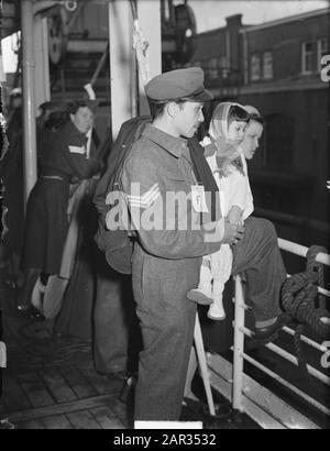 Englisches Truppentransportschiff "Chitral" mit 700 Mitgliedern der ehemaligen KNIL mit ihren Familien kam in Amsterdam an Datum: 18. Oktober 1950 Standort: Amsterdam Schlüsselwörter: Familien, Militär, Repatriierung Institutionenname: KNIL Stockfoto