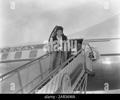Gina Lolobrigida in Amsterdam, Ankunftsdatum: 21. Oktober 1955 Ort: Amsterdam, Noord-Holland Schlüsselwörter: Ankunft persönlicher Name: Gina Lolobrigida Stockfoto