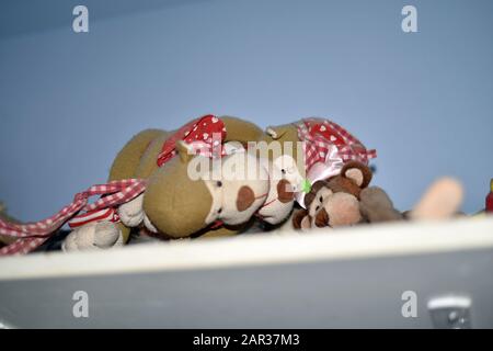 Affen verliebt Stockfoto