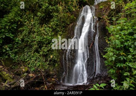 Cascada Las Bromelias Wasserfall - Paraiso Quetzal Lodge, San Gerardo de Dota, Provinz San Jose, Costa Rica Stockfoto