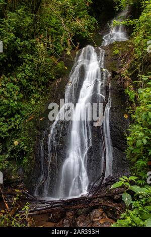 Cascada Las Bromelias Wasserfall - Paraiso Quetzal Lodge, San Gerardo de Dota, Provinz San Jose, Costa Rica Stockfoto