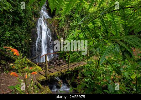 Cascada Las Bromelias Wasserfall - Paraiso Quetzal Lodge, San Gerardo de Dota, Provinz San Jose, Costa Rica Stockfoto