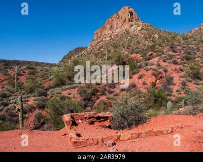 Überreste einer verlassenen Bergarbeiter-Shack-Stiftung, die vermutlich um 1956 von Ralph Morris, Indian Paint Mine, Superstition Wilderness, Arizona, konstruiert wurde. Stockfoto