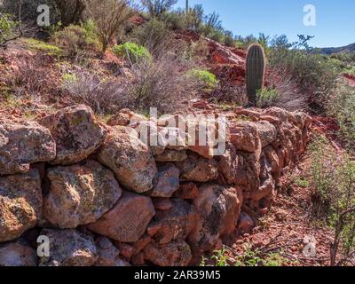 Überreste einer verlassenen Bergarbeiter-Shack-Stiftung, die vermutlich um 1956 von Ralph Morris, Indian Paint Mine, Superstition Wilderness, Arizona, konstruiert wurde. Stockfoto