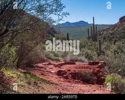 Überreste einer verlassenen Bergarbeiter-Shack-Stiftung, die vermutlich um 1956 von Ralph Morris, Indian Paint Mine, Superstition Wilderness, Arizona, konstruiert wurde. Stockfoto