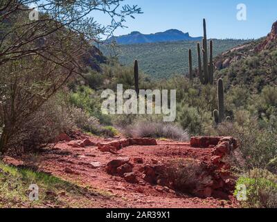 Überreste einer verlassenen Bergarbeiter-Shack-Stiftung, die vermutlich um 1956 von Ralph Morris, Indian Paint Mine, Superstition Wilderness, Arizona, konstruiert wurde. Stockfoto