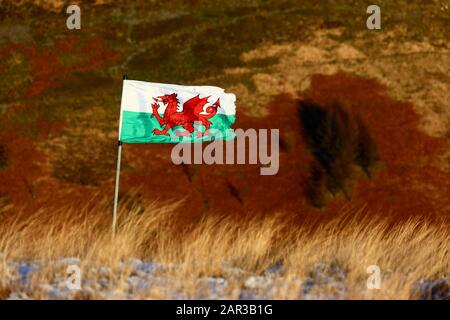 Walisische Flagge im Schnee auf dem Pen Pych Hill oberhalb des Rhondda Fawr Tals, Mid Glamorgan, Wales, Großbritannien Stockfoto