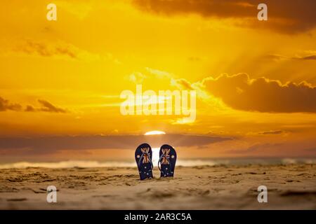 Australische Tangas bleiben aufrecht im Sand mit dramatischem Sonnenaufgang. Tageskonzept Australien Stockfoto