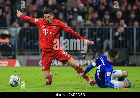 München, Deutschland. Januar 2020. Robert Lewandowski (L) von Bayern München ist mit Omar Mascarell von Schalke 04 während eines deutschen Bundesligaspiels zwischen dem FC Bayern München und dem FC Schalke 04 in München am 25. Januar 2020 in Führung. Credit: Philippe Ruiz/Xinhua/Alamy Live News Stockfoto