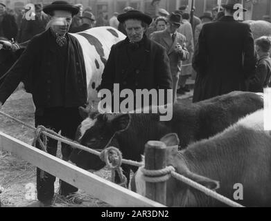 Oster Cattle Market in Goes Datum: 6. März 1951 Ort: Goes Keywords: Händler, Tiere Stockfoto