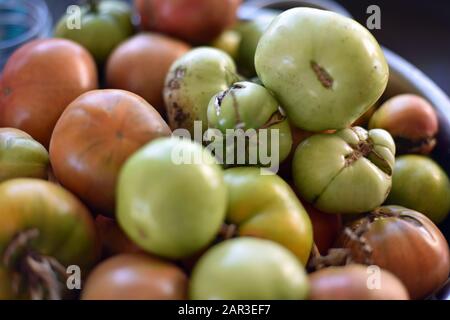 Tomaten in einer Fensterbank Stockfoto