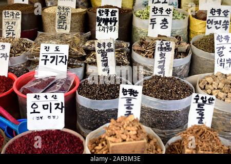 Behälter mit traditioneller koreanischer Naturmedizin auf einem Straßenmarkt in Seoul, Südkorea Stockfoto