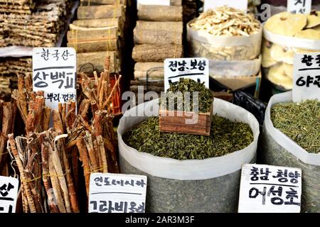 Verschiedene Arten der traditionellen koreanischen Naturmedizin auf einem Straßenmarkt in Seoul, Südkorea Stockfoto