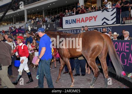 Hallandale, Vereinigte Staaten Von Amerika. Januar 2020. Hallandale, FLORIDA - 25. JANUAR: Mucho Gusto mit Irad Ortiz up gewinnt die Pegasus-Weltmeisterschaft im Gulfstream Park am 25. Januar 2020 in Hallandale, Florida People: Mucho Gusto, Irad Ortiz Credit: Storms Media Group/Alamy Live News Stockfoto