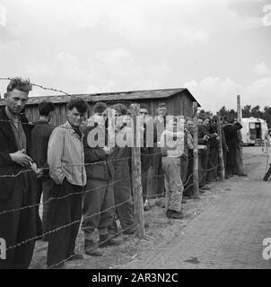 Kapitulation: Harskamp [Lager, in dem SS-Männer und Landwachtmeister interniert waren] Kriegsgefangene Anmerkung: In diesem Lager wurden etwa 4000 niederländische SS-Häftlinge untergebracht (einschließlich Armee, Landsturm, Wikinger, Germanien, Holle. Grüne Polizei etc.) Datum der Verhandlung: Juni 1945 Ort: Gelderland, Harskamp Schlüsselwörter: Internierungslager, Kriegsgefangene, Militär Stockfoto