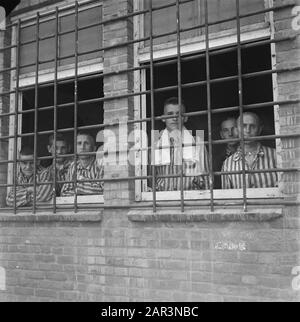 Reportage aus dem Lager in Vught Im Straflager in Vught, 7000 niederländische Mitarbeiter und Verräter sind gesperrt. Soldaten der niederländischen Stoottroopers sind für die Garde zuständig, insbesondere für die 300 niederländischen SS-Männer. Unter der Führung des Lagerkommandanten, Major L. Mennes, und seiner Helfer werden diese Häftlinge verwendet, um die Umgebung von Vught von Landminen zu reinigen. Sie sind mit den blau-weiß gestreiften Gefängnispaketen der von den Deutschen gefangenen ehemaligen Holländer bekleidet. Die Häftlinge erhalten die ebenfalls reduzierte zivile Mindestration, weil alle Delikatessen beseitigt wurden Stockfoto