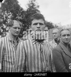 Reportage aus dem Lager in Vught Im Straflager in Vught, 7000 niederländische Mitarbeiter und Verräter sind gesperrt. Soldaten der niederländischen Stoottroopers sind für die Garde zuständig, insbesondere für die 300 niederländischen SS-Männer. Unter der Führung des Lagerkommandanten, Major L. Mennes, und seiner Helfer werden diese Häftlinge verwendet, um die Umgebung von Vught von Landminen zu reinigen. Sie sind mit den blau-weiß gestreiften Gefängnispaketen der von den Deutschen gefangenen ehemaligen Holländer bekleidet. Die Häftlinge erhalten die ebenfalls reduzierte zivile Mindestration, weil alle Delikatessen beseitigt wurden Stockfoto