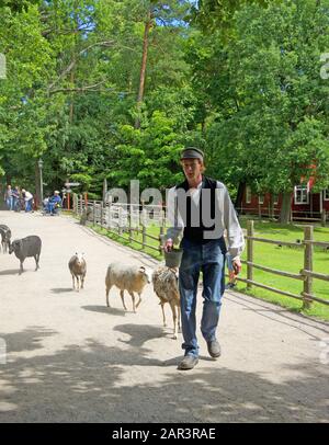 Stockholm, SCHWEDEN - 8. Juli 2016 - EIN junger Mann begibt sich in Skansen, einem Freilichtmuseum in Stockholm, das das Leben im Schweden des 19. Jahrhunderts zeigt Stockfoto