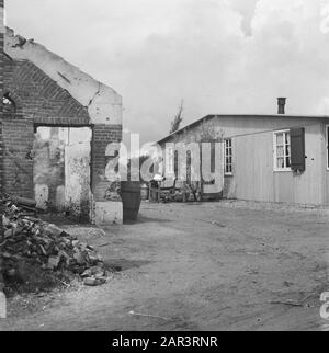 Verwüstungen: Hedel Vernielingen in Hedel Datum: 1945 Ort: Hedel Schlüsselwörter: Zweiter Weltkrieg, Zerstörung Stockfoto