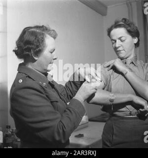 Trainingslager für das Frauen-Hilfskorps in Bouvigne Armee, Ausbildung, Soldaten, Frauen Datum: August 1945 Ort: Breda Schlagwörter: Armee, Militär, Ausbildung, Frauen Institutionenname: VHK Stockfoto