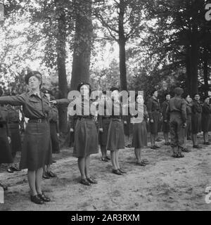 Trainingslager für das Frauen-Hilfskorps in Bouvigne Armee, Ausbildung, Soldaten, Frauen Datum: August 1945 Ort: Breda Schlagwörter: Armee, Militär, Ausbildung, Frauen Institutionenname: VHK Stockfoto