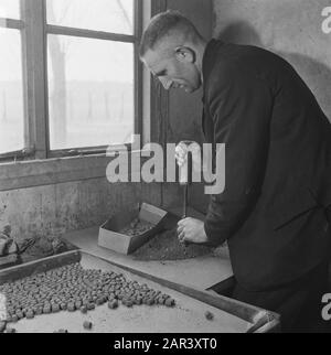 Bericht: Feuerwerk Leiden Datum: 22. Januar 1946 Ort: Leiden, Zuid-Holland Schlüsselwörter: Fabriken, Feuerwerk Stockfoto