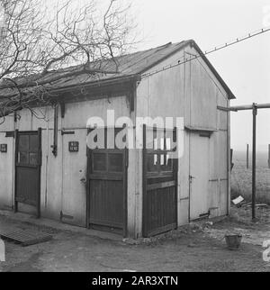 Bericht: Feuerwerk Leiden Datum: 22. Januar 1946 Ort: Leiden, Zuid-Holland Schlüsselwörter: Fabriken, Feuerwerk Stockfoto
