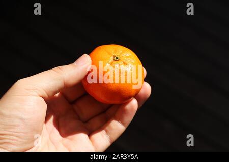 Nahaufnahme des hohen Winkels einer Person, die die Mandarine hält Über einem dunklen Hintergrund Stockfoto
