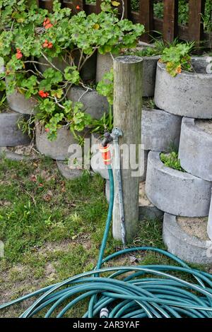 Vertikale Aufnahme eines Wasserschlauchs in der Nähe der Zementblume Töpfe in einem Garten Stockfoto