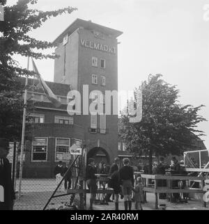 Hengstgenehmigung bei den Bosch Datum: 21. Juni 1946 Standort: Den Bosch Stichworten: Hengstzulassungen Stockfoto