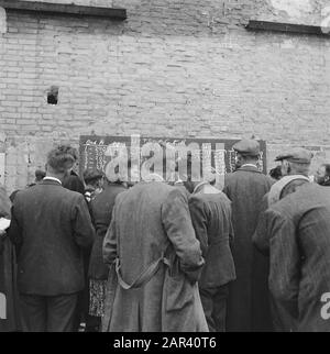 Hengstgenehmigung bei den Bosch Datum: 21. Juni 1946 Standort: Den Bosch Stichworten: Hengstzulassungen Stockfoto