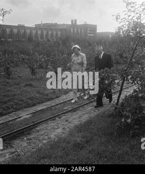 Königin Juliana besucht die Hogeschool Rijksbouw in Wageningen wegen ihres 75-jährigen Bestehens Datum: 14. September 1951 Ort: Gelderland, Wageningen Schlüsselwörter: Äpfel, Obstgärten, Obstbäume persönlicher Name: Juliana, Königin Stockfoto