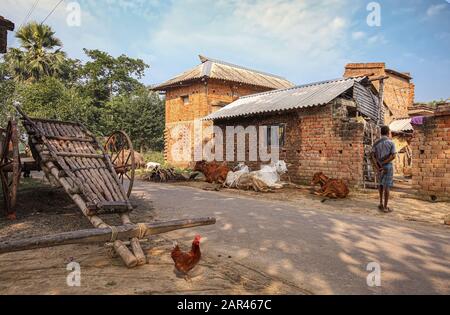 Ländliche indische Dorfszene mit Ziegelhäusern, Kühen, handgezogenem Wagen an der Straße. Foto in einem Dorf in der Nähe von Bolpur, Westbengalen Stockfoto